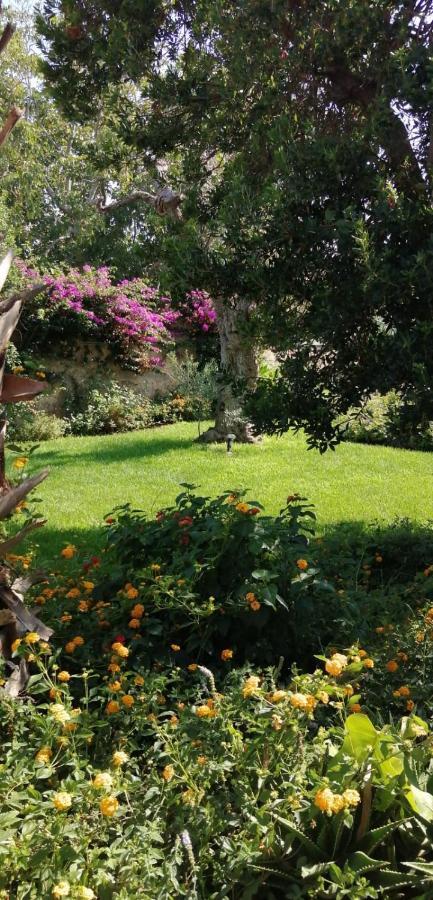 פרזיצ'ה Residence Il Giunco מראה חיצוני תמונה