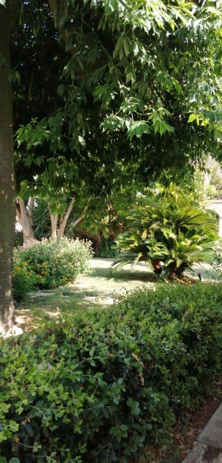 פרזיצ'ה Residence Il Giunco מראה חיצוני תמונה